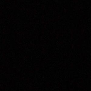 Meet your Posher, Shane